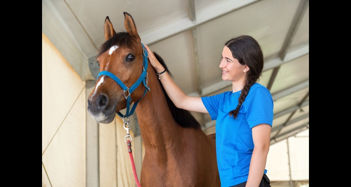 How To Build Better Bonds With Your Horse Through Care