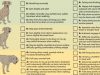 A portion of the BEAP pain scale for dogs